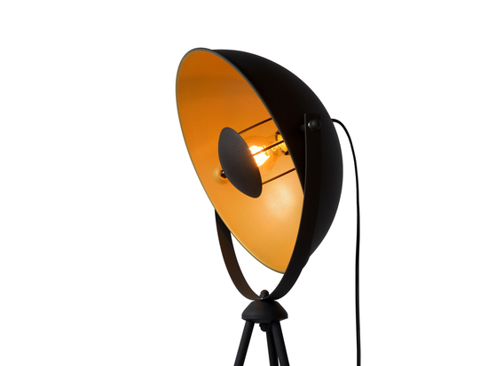 Stojací lampa Alvaro, černá, E27, 148cm