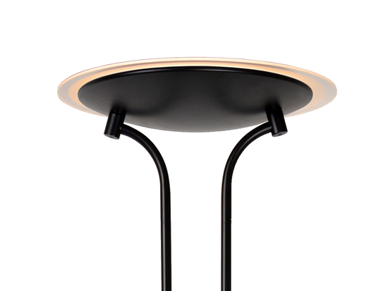 Stojací lampa Champion-LED černá, 20W, 4W, 3000K, 180cm