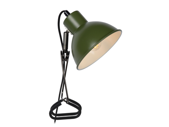 Nástěnná lampa Moys, zelená, s klipem, E27, 32,5cm